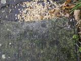 image of grave number 949943